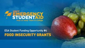 Banner ad for food insecurity grants